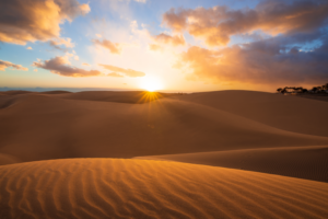 © Adobe Stock - Marktbericht Q2/2023